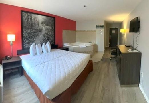 Namaste Inn & Suites Dawsonville Værelse billede